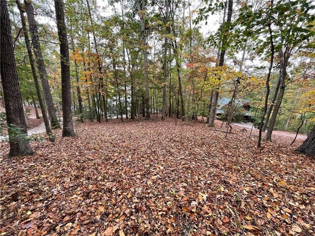 150 Indian Hills Dr, Westminster, SC 29693 - photo 6