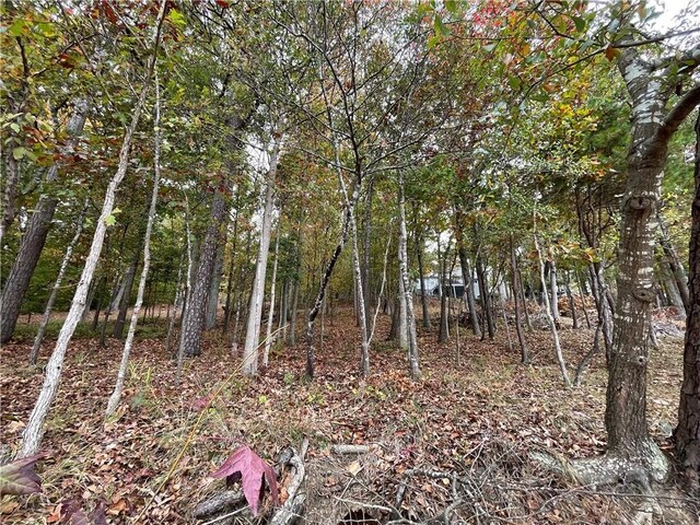 150 Indian Hills Dr, Westminster, SC 29693 - photo 10
