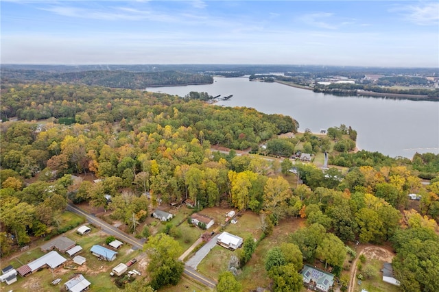 bird's eye view with a view of trees and a water view