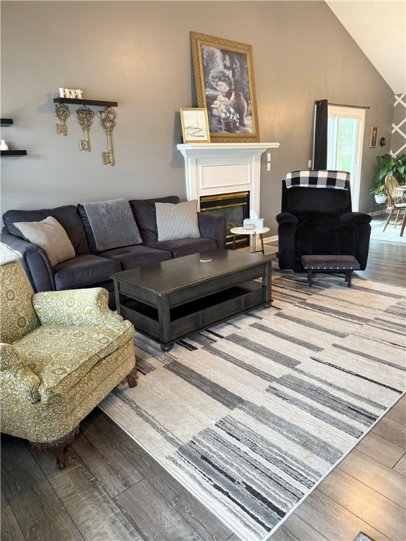 living room featuring wood-type flooring and high vaulted ceiling