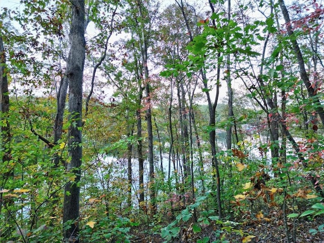 549 Riverstone Dr, Salem, SC 29676