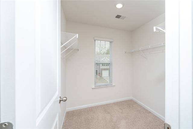 walk in closet with light colored carpet