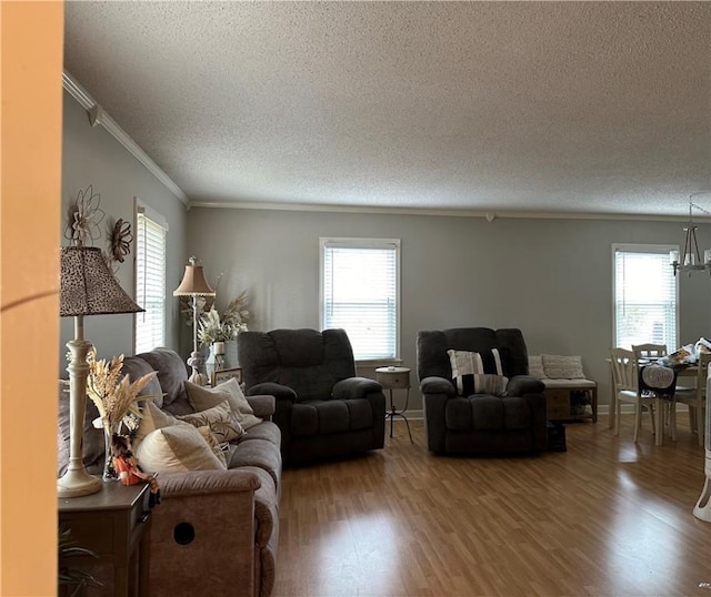 living room featuring ornamental molding, a textured ceiling, a healthy amount of sunlight, and wood-type flooring