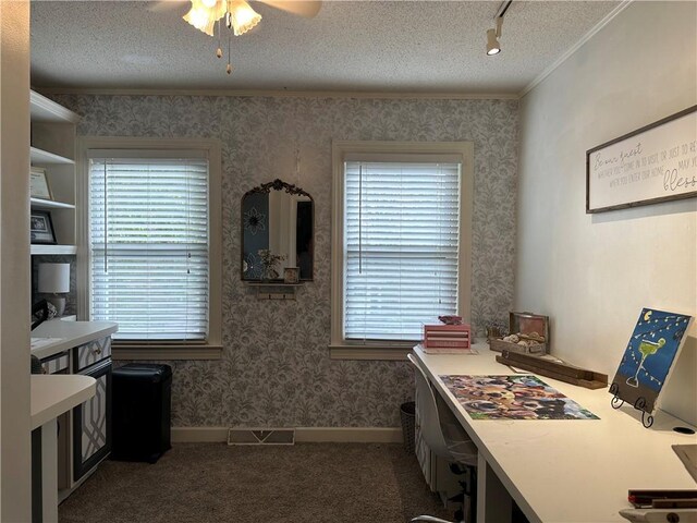 office featuring ceiling fan, plenty of natural light, a textured ceiling, and dark colored carpet