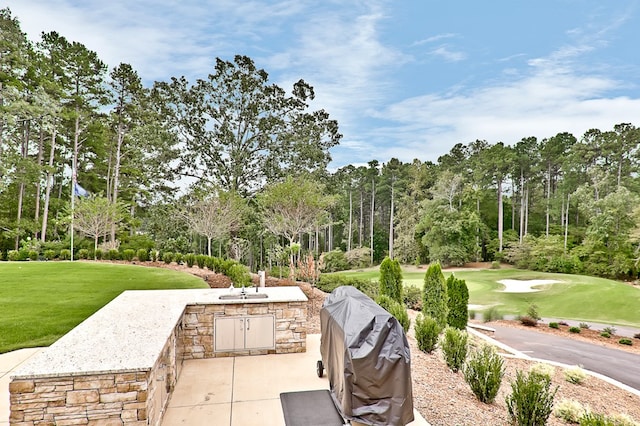 view of property's community with a yard and exterior kitchen