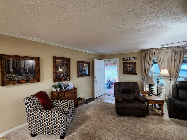 living room featuring carpet flooring, a textured ceiling, and a healthy amount of sunlight