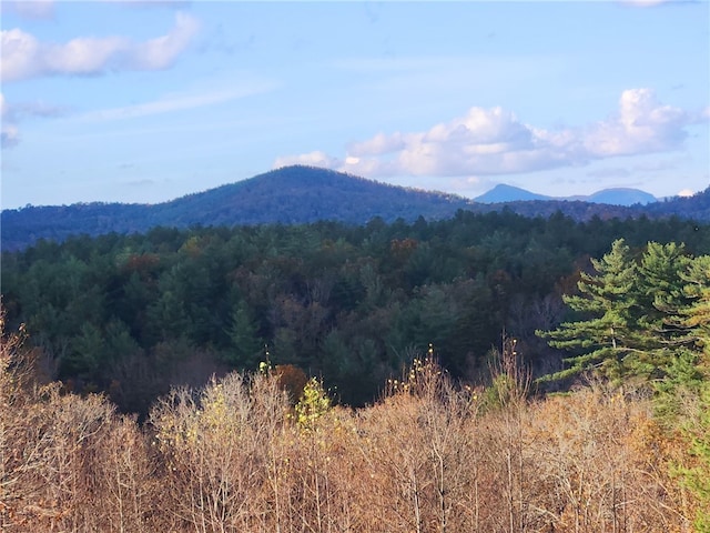 property view of mountains