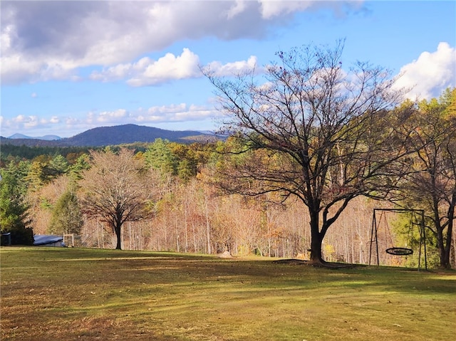 view of mountain feature