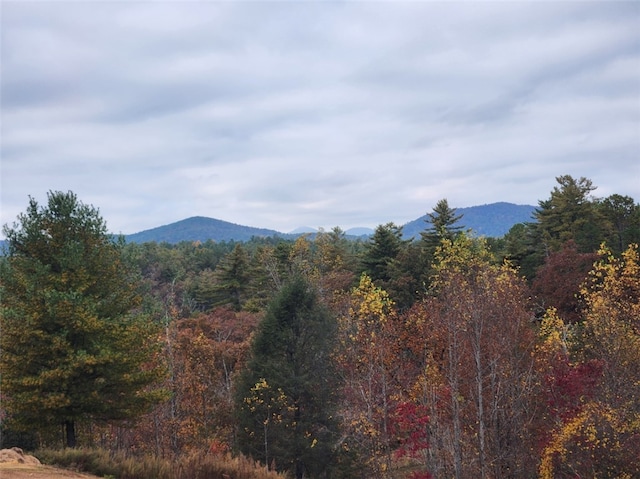 view of mountain feature