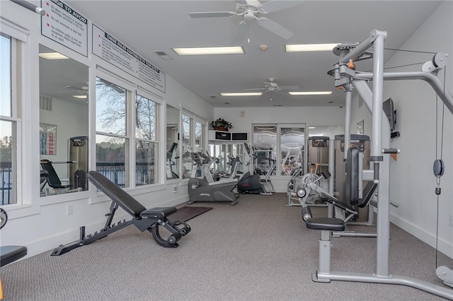 exercise room featuring carpet and ceiling fan