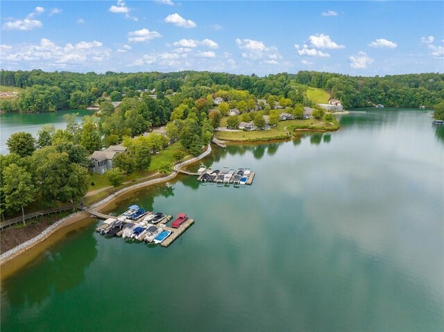 1230 Melton Rd Unit 31, West Union, SC 29696 - drone / aerial view of a large body of water and a heavily wooded area