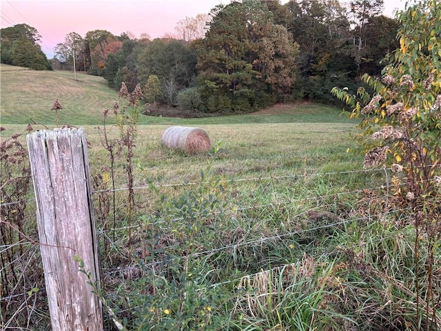 view of yard at dusk