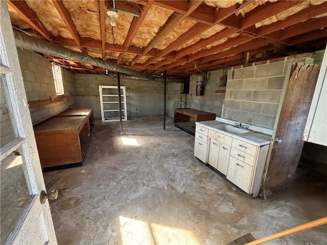 basement with sink