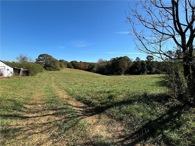 view of yard with a rural view