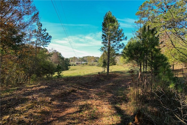 view of local wilderness featuring a rural view