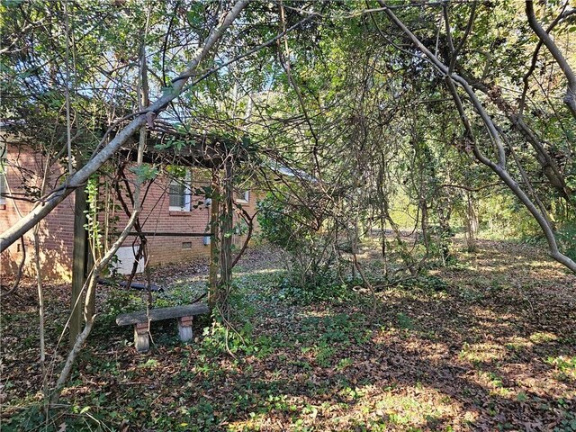 214 Holly Ave, Clemson, SC 29631 - photo 28
