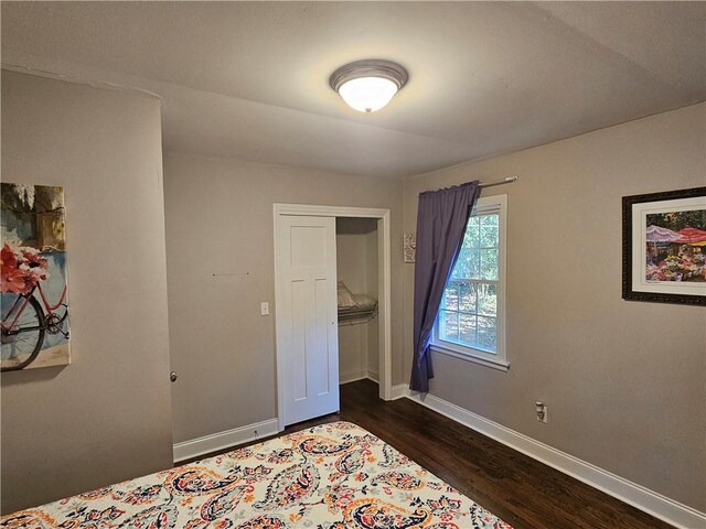 214 Holly Ave, Clemson, SC 29631 - photo 17