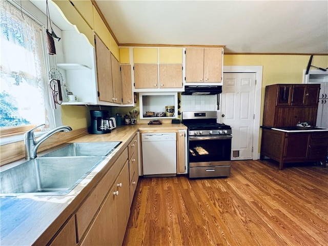 kitchen featuring a wealth of natural light, sink, white dishwasher, stainless steel gas range, and light wood-type flooring