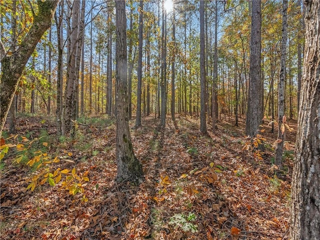 LOT83 Waterside Xing, Seneca, SC 29672