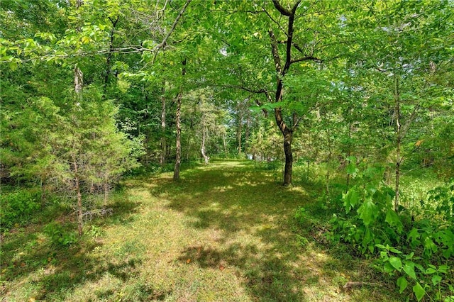 view of landscape