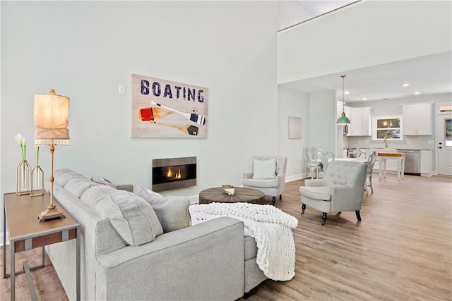 living room featuring light hardwood / wood-style floors