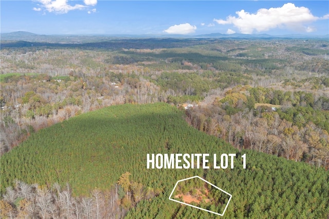 Listing photo 3 for LOT1 Old Flat Shoals Rd, Walhalla SC 29691