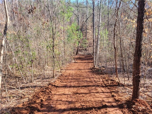 LOT4 Old Flat Shoals Rd, Walhalla, SC 29691