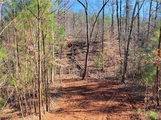 LOT4 Old Flat Shoals Rd, Walhalla, SC 29691