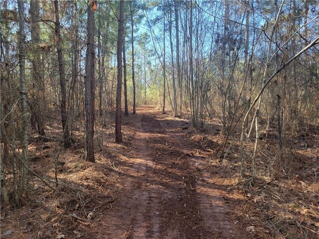 LOT4 Old Flat Shoals Rd, Walhalla, SC 29691