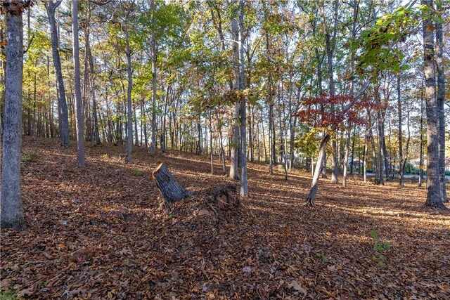 LOT30 Pointe Harbor Dr, Salem, SC 29676