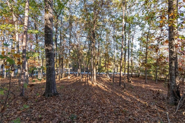 LOT30 Pointe Harbor Dr, Salem, SC 29676