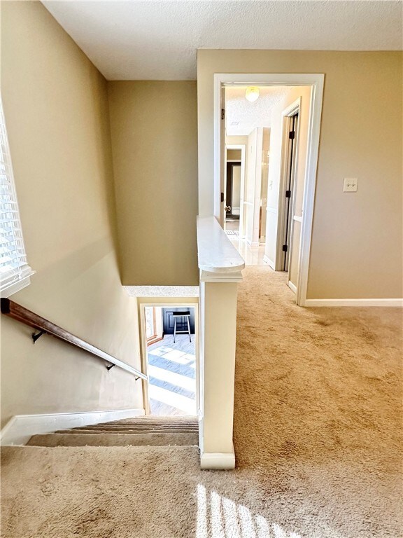 stairway featuring carpet and a textured ceiling