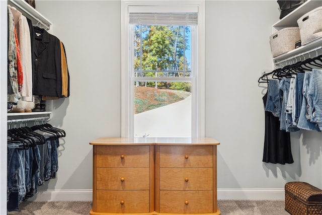 spacious closet with light colored carpet