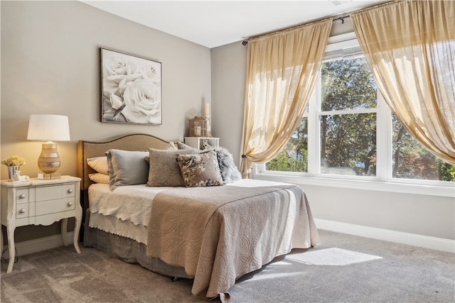 bedroom with carpet floors