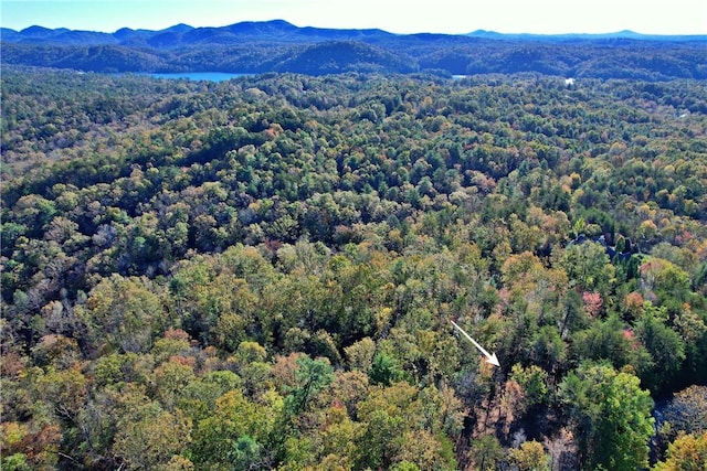 110 Buttercup Way, Sunset, SC 29685 - photo 20