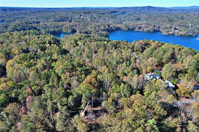 110 Buttercup Way, Sunset, SC 29685 - photo 22
