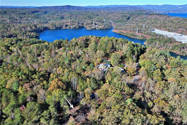 110 Buttercup Way, Sunset, SC 29685 - photo 23