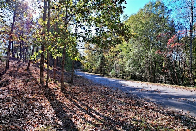110 Buttercup Way, Sunset, SC 29685 - photo 6