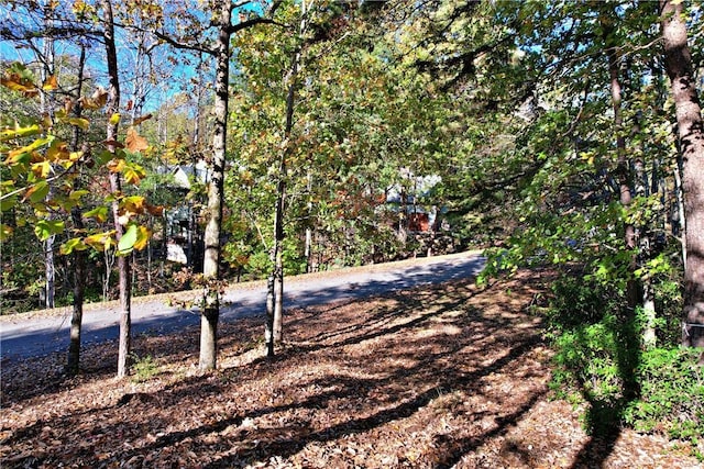 110 Buttercup Way, Sunset, SC 29685 - photo 7