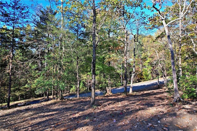 110 Buttercup Way, Sunset, SC 29685 - photo 9