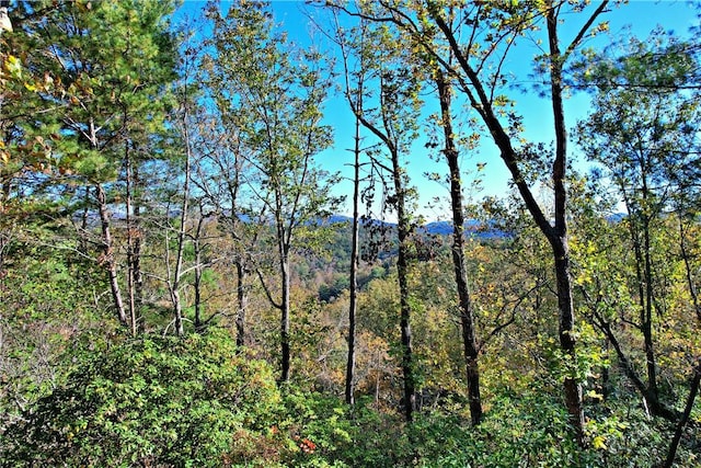 110 Buttercup Way, Sunset, SC 29685 - photo 10