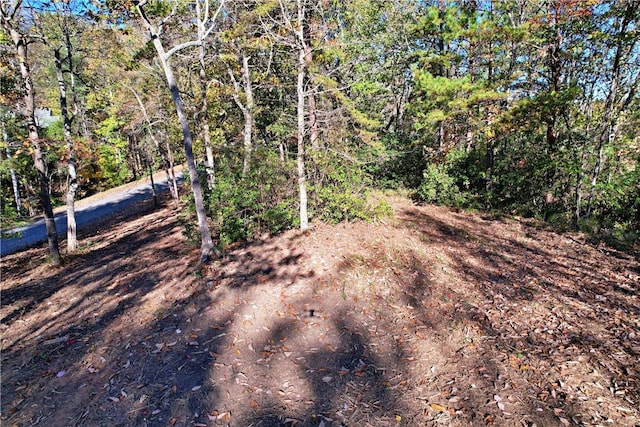 110 Buttercup Way, Sunset, SC 29685 - photo 12
