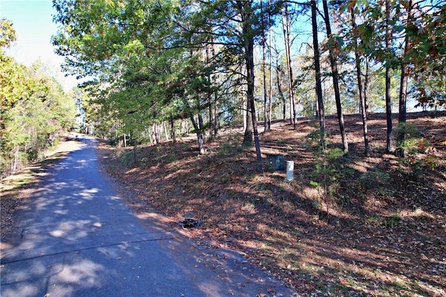110 Buttercup Way, Sunset, SC 29685 - photo 14
