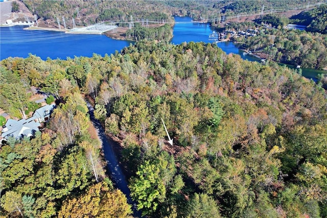 110 Buttercup Way, Sunset, SC 29685 - photo 16