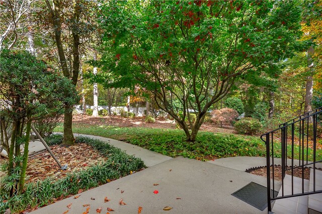 view of community with a patio area