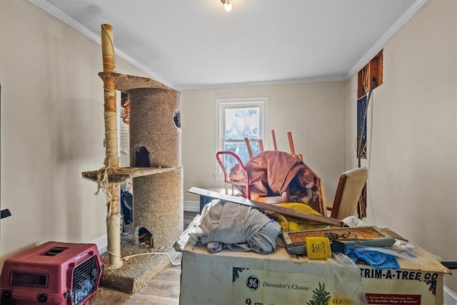 interior space featuring hardwood / wood-style floors and crown molding