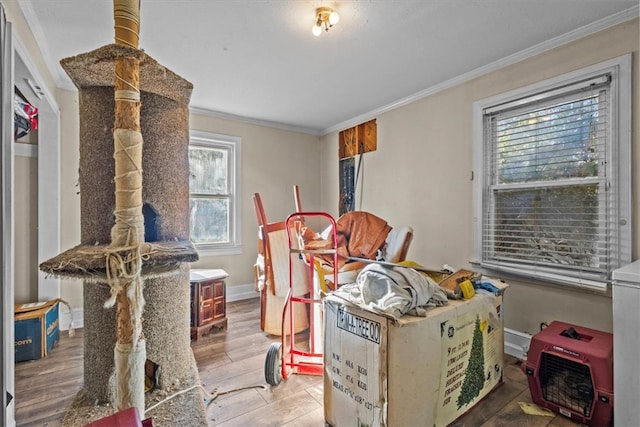 dining room featuring a healthy amount of sunlight, light hardwood / wood-style floors, and crown molding