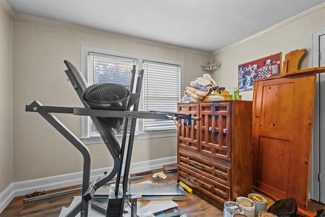 exercise area featuring wood-type flooring and ornamental molding