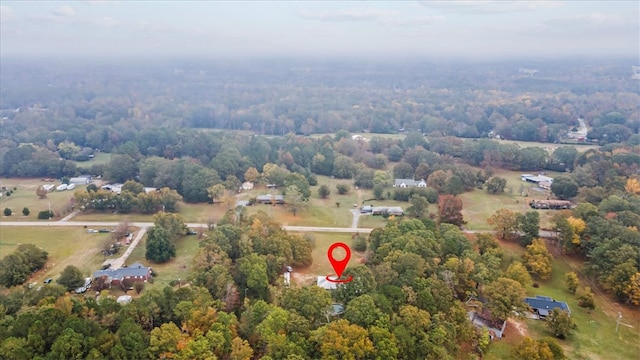 bird's eye view