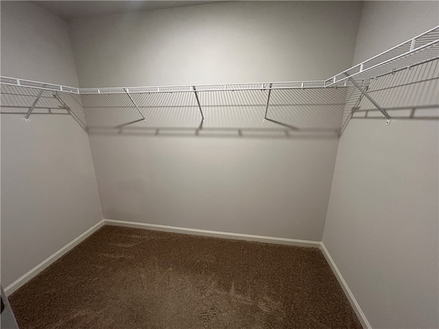 spacious closet with carpet floors